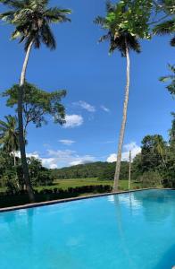 a swimming pool with palm trees in the background at Raddegoda Walawwa Kurunegala in Ridigama