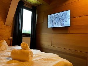 TV a/nebo společenská místnost v ubytování Villa Amálka