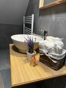 Fotografie z fotogalerie ubytování Villa Amálka v Bílé + 9 fotografií