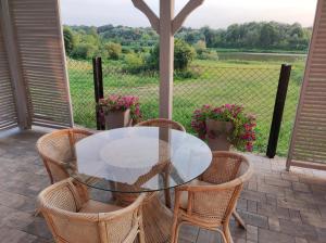 a glass table and chairs on a patio with a view at Tonkielek - Domek z Jacuzzi Nad Rzeką Bug in Tonkiele