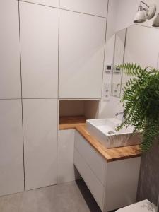 uma casa de banho branca com um lavatório e um vaso de plantas em Urban Nest Apartments Brodowicza 14 em Cracóvia