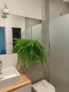 uma casa de banho com um lavatório e uma planta verde em Urban Nest Apartments Brodowicza 14 em Cracóvia
