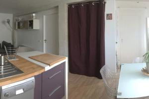 eine Küche mit einer Spüle und einer Arbeitsplatte in der Unterkunft T2 St Martin du Touch AIRBUS Quiet and spacious in Toulouse