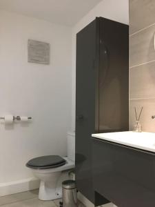 ein Bad mit einem schwarzen WC und einem Waschbecken in der Unterkunft T2 St Martin du Touch AIRBUS Quiet and spacious in Toulouse