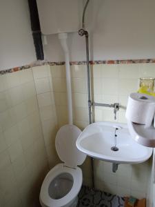 a bathroom with a toilet and a sink at Yanks Idila in Zlatibor