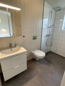a bathroom with a toilet and a sink and a shower at Stunning house - amazing scenery in Hvolsvöllur +68 photos