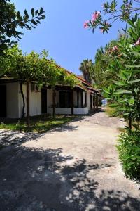 pusta ulica z drzewami i domami po stronie w obiekcie Apartments Korakakis Beach w mieście Finikounda