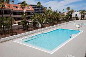 an overhead view of a swimming pool at a apartment at Apartment in Playa de las Americas in Playa de las Americas
