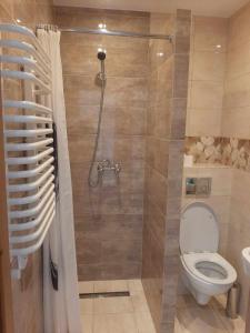 W łazience znajduje się prysznic, toaleta i umywalka. w obiekcie Apartament Rychwałd w mieście Rychwałd