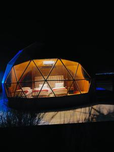 una cupola di vetro con un letto all'interno di Syndebad desert camp a Wadi Rum