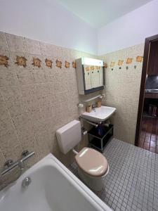 a bathroom with a toilet and a sink and a tub at Haus am Sonnenberg, Todtnauberg, Ferienwohnung 204, direkt am Skilift-Skipiste, Nähe Feldberg in Todtnau +12 photos