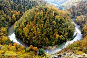 Fotografie z fotogalerie ubytování Pensiunea Marissandra v destinaci Răzoare