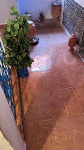 corridoio con pavimento piastrellato e piante in vaso di BLUE RIAD a Safi
