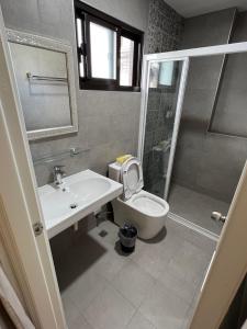 a bathroom with a toilet and a sink and a shower at Wei Kun Homestay in Sanxing