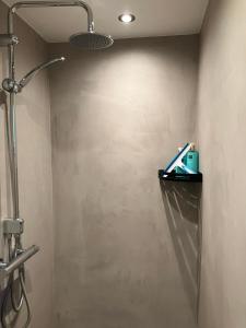 Oasis Giethoorn tesisinde bir banyo