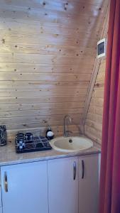 a bathroom with a sink in a wooden wall at Cottage Mida in Mestia