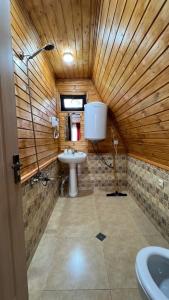 ein Bad mit einem Waschbecken und einem WC in einem Zimmer in der Unterkunft Cottage Mida in Mestia