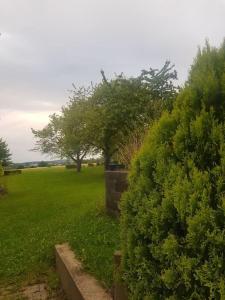 un jardin avec des buissons et des arbres dans un champ dans l'établissement Wohnung Daria, à Neu-Anspach