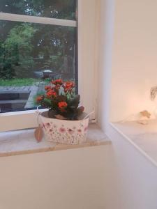 a potted plant sitting on a window sill at Wohnung Daria in Neu-Anspach