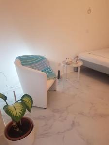 un soggiorno con divano, sedia e pianta di Wohnung Daria a Neu-Anspach