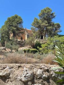 a house on top of a hill with trees at Molino Los Leones in Ronda