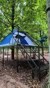 Giardino di Dragster Tents