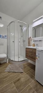 uma casa de banho com um chuveiro e um lavatório. em Apartmány Na sjezdovce em Sedloňov