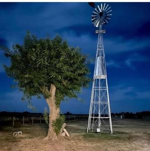 un molino de viento y un árbol en un campo en A Morriña en Santa Lucía