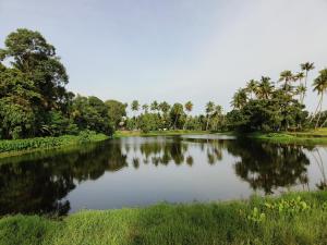 Paesaggio naturale nelle vicinanze di questo campeggio di lusso