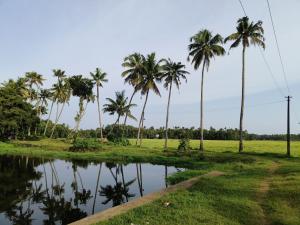 a group of palm trees next to a body of water at Dragster Tents in Kizhake Chālakudi