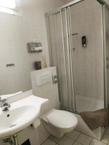 a bathroom with a toilet and a sink and a shower at Winterwohnung Almberg in Mitterfirmiansreut +31 photos