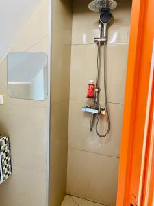 a shower in a bathroom with a shower head at Maison et sa dépendance ss voisinage dans les vergers de Montmorency in Saint-Brice-sous-Forêt