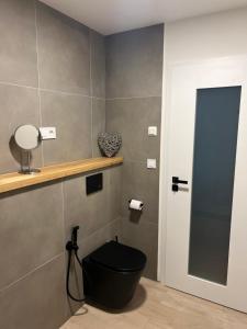een badkamer met een zwart toilet en een spiegel bij Apartment Maria in Mariánské Lázně