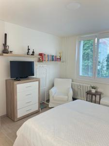 um quarto com uma cama, uma televisão e uma cadeira em Apartment Maria em Mariánské Lázně