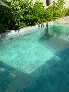 una piscina con agua azul y plantas verdes en Casa Prainha, en Praia do Frances
