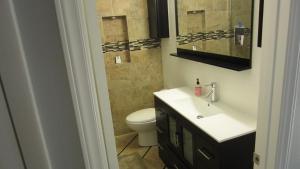 a bathroom with a toilet and a sink and a mirror at Modern/Retro Condo in High Point