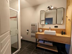 een badkamer met een wastafel en 2 spiegels bij Le clos des pierres rouges in Saint-Privat-dʼAllier