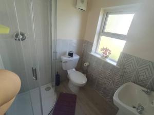 a bathroom with a toilet and a sink and a window at Kilarney cottage in Killarney