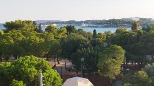 a view of a park with trees and a lake at Best view in the Bay! in Athens