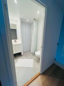 e bagno con doccia, servizi igienici e specchio. di Charmerende 3-værelses lejlighed a Copenaghen