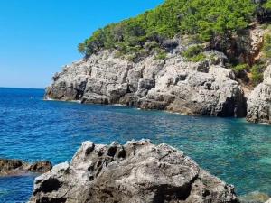 a view of a rocky shoreline with blue water at Rooms Korina & Mauro Ropa Mljet in Ropa