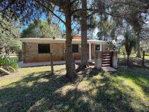 una casa de ladrillo con un árbol delante de ella en Dimensión Desconocida, en Piriápolis