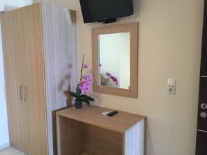 TV a/nebo společenská místnost v ubytování Apollon Hotel