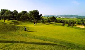 Golf pri apartmáne alebo okolí