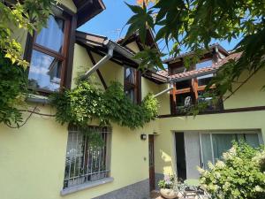 史特拉斯堡的住宿－LES MARAICHERS，黄色房子,窗户和植物
