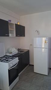 a kitchen with a stove and a white refrigerator at TC Vest Residence in Leţcani