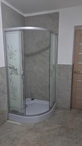 La salle de bains est pourvue d'une douche avec une porte en verre. dans l'établissement TC Vest Residence, à Leţcani