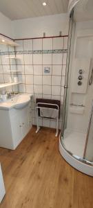 a small bathroom with a sink and a shower at Maison wifi jardin arboré pointe du Raz in Plogoff