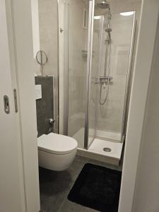 ein Bad mit einer Dusche, einem WC und einem Waschbecken in der Unterkunft City Appartement 1 Hannover Altstadt in Hannover