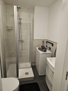 y baño con ducha, aseo y lavamanos. en City Appartement 1 Hannover Altstadt en Hannover